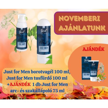 Just for Men borotvagél 100 ml, Just for Men tusfürdő 100 ml + 1 db Just for Men arc- és szakállápoló 75 ml